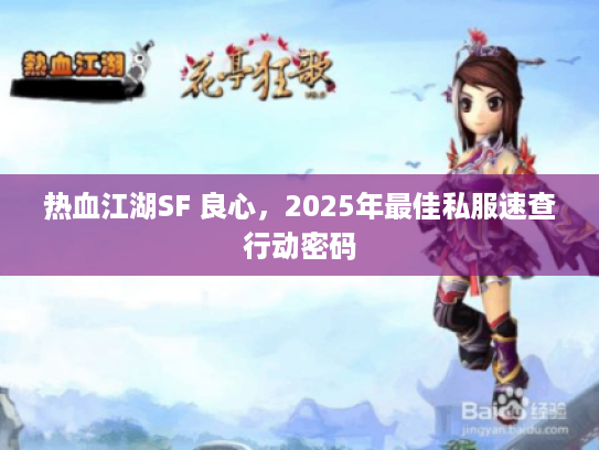热血江湖SF 良心，2025年最佳私服速查行动密码