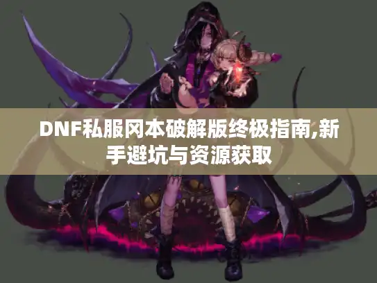 DNF私服冈本破解版终极指南,新手避坑与资源获取