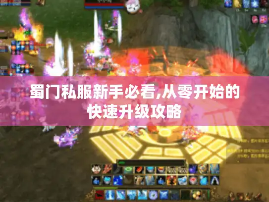 蜀门私服新手必看,从零开始的快速升级攻略 蜀门私服新手必看,从零开始的快速升级攻略
