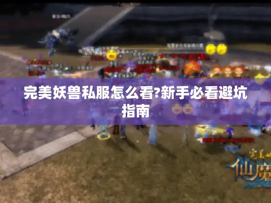 完美妖兽私服怎么看?新手必看避坑指南
