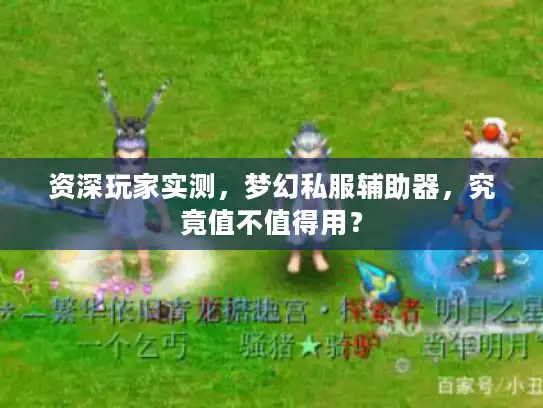 资深玩家实测，梦幻私服辅助器，究竟值不值得用？