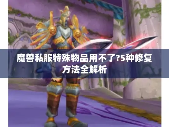 魔兽私服特殊物品用不了?5种修复方法全解析