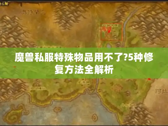 魔兽私服特殊物品用不了?5种修复方法全解析
