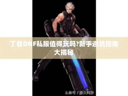 丁香DNF私服值得玩吗?新手避坑指南大揭秘