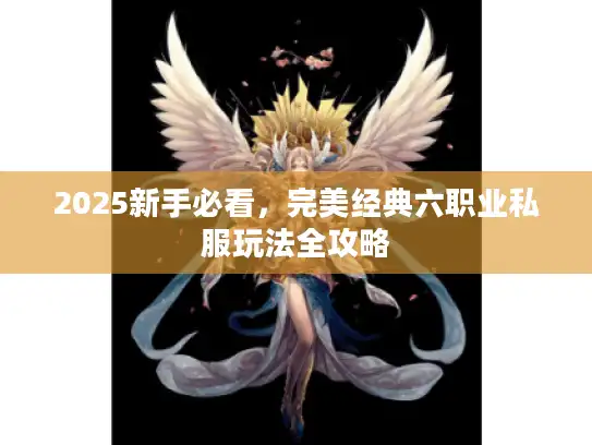 2025新手必看,完美经典六职业私服玩法全攻略 2025新手必看,完美经典六职业私服玩法全攻略