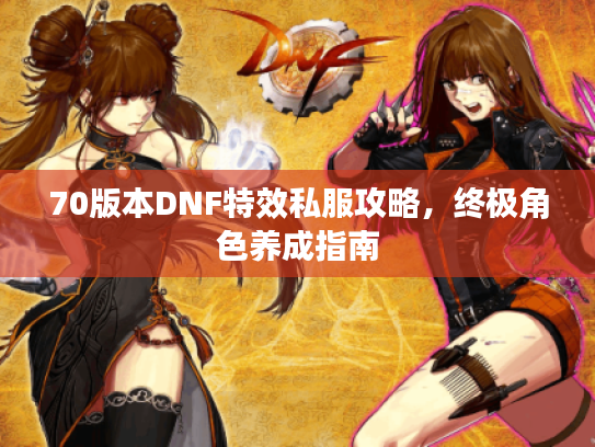 70版本DNF特效私服攻略,终极角色养成指南 70版本DNF特效私服攻略,终极角色养成指南