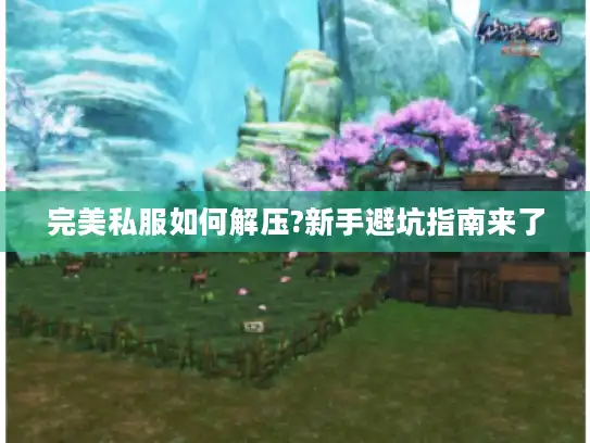 完美私服如何解压?新手避坑指南来了