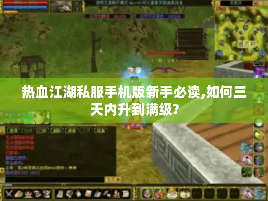 热血江湖私服手机版新手必读,如何三天内升到满级?