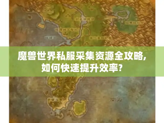 魔兽世界私服采集资源全攻略,如何快速提升效率?