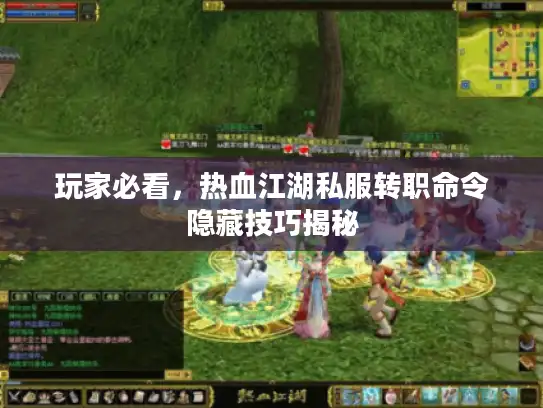 玩家必看，热血江湖私服转职命令隐藏技巧揭秘