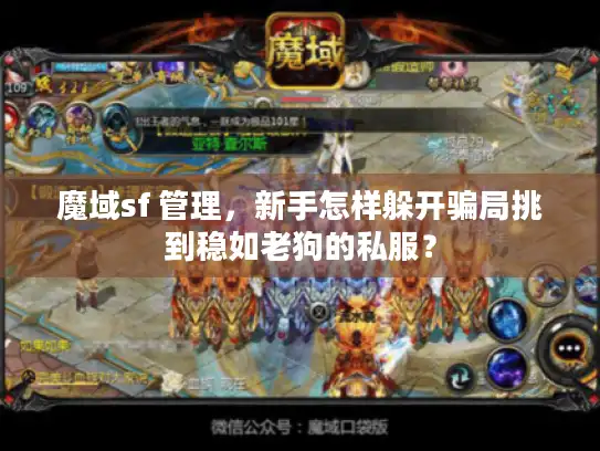 魔域sf 管理，新手怎样躲开骗局挑到稳如老狗的私服？