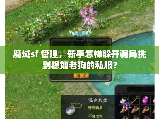 魔域sf 管理，新手怎样躲开骗局挑到稳如老狗的私服？