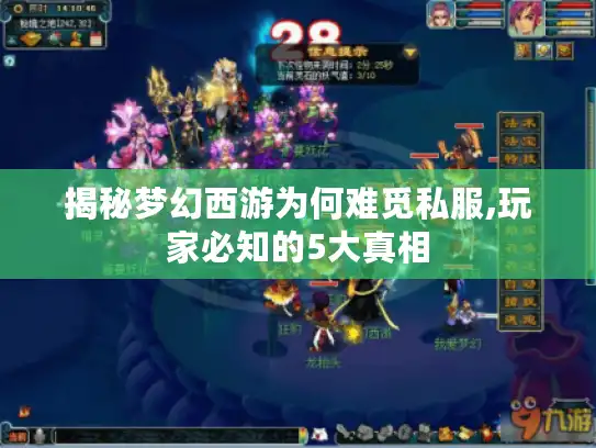 揭秘梦幻西游为何难觅私服,玩家必知的5大真相