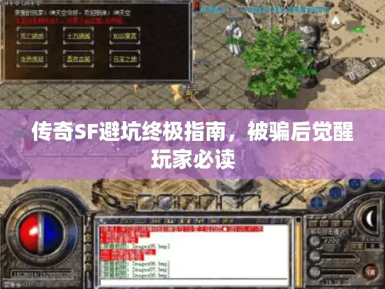 传奇SF避坑终极指南，被骗后觉醒玩家必读