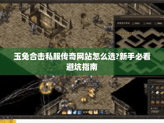 玉兔合击私服传奇网站怎么选?新手必看避坑指南