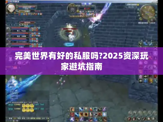 完美世界有好的私服吗?2025资深玩家避坑指南
