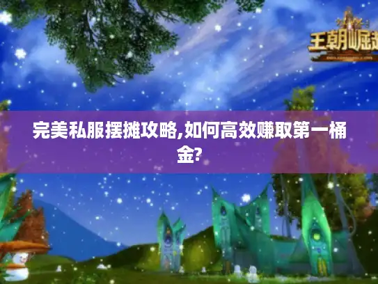 完美私服摆摊攻略,如何高效赚取第一桶金?