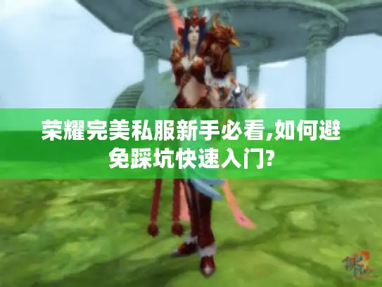 荣耀完美私服新手必看,如何避免踩坑快速入门?