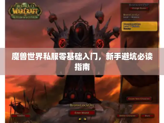 魔兽世界私服零基础入门，新手避坑必读指南