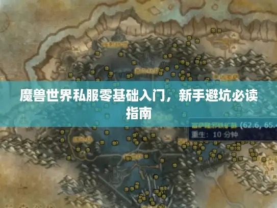 魔兽世界私服零基础入门，新手避坑必读指南