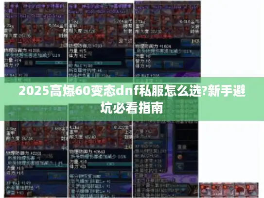 2025高爆60变态dnf私服怎么选?新手避坑必看指南