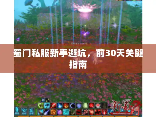 蜀门私服新手避坑，前30天关键指南