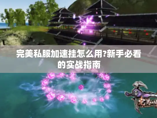 完美私服加速挂怎么用?新手必看的实战指南