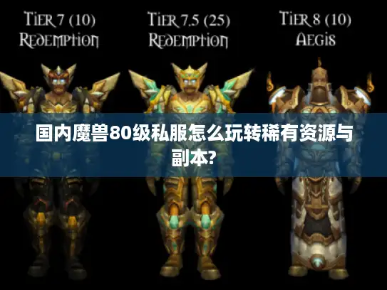 国内魔兽80级私服怎么玩转稀有资源与副本?