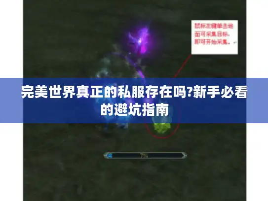 完美世界真正的私服存在吗?新手必看的避坑指南
