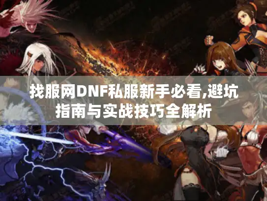 找服网DNF私服新手必看,避坑指南与实战技巧全解析