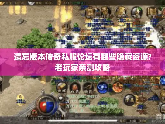 遗忘版本传奇私服论坛有哪些隐藏资源?老玩家亲测攻略