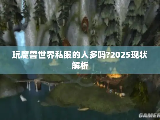 玩魔兽世界私服的人多吗?2025现状解析