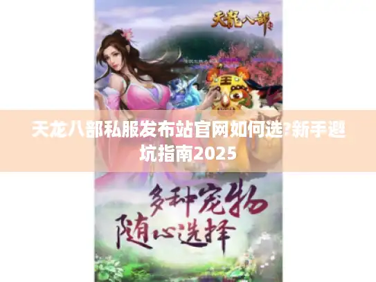 天龙八部私服发布站官网如何选?新手避坑指南2025
