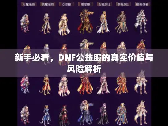 新手必看，DNF公益服的真实价值与风险解析