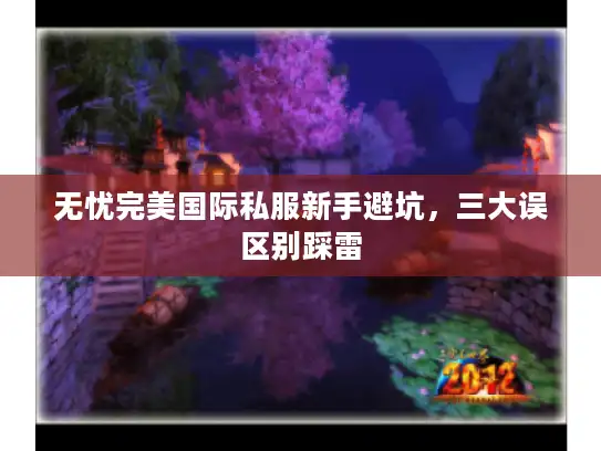 无忧完美国际私服新手避坑,三大误区别踩雷 无忧完美国际私服新手避坑,三大误区别踩雷