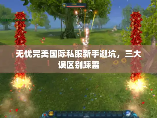 无忧完美国际私服新手避坑,三大误区别踩雷 无忧完美国际私服新手避坑,三大误区别踩雷