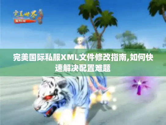 完美国际私服XML文件修改指南,如何快速解决配置难题