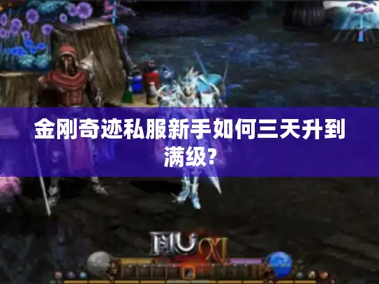 金刚奇迹私服新手如何三天升到满级?