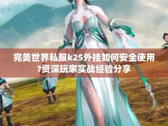 完美世界私服k25外挂如何安全使用?资深玩家实战经验分享