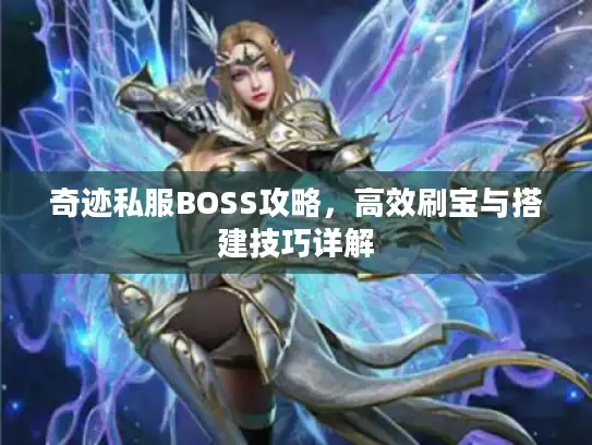 奇迹私服BOSS攻略，高效刷宝与搭建技巧详解