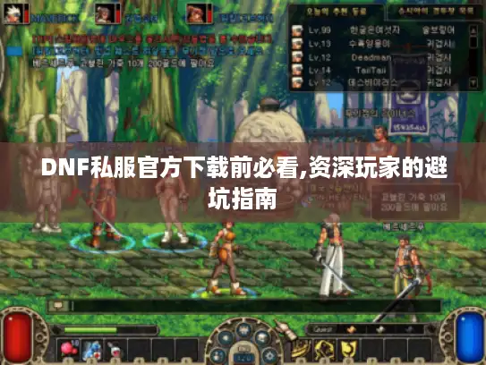DNF私服官方下载前必看,资深玩家的避坑指南
