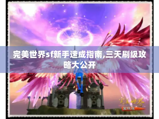 完美世界sf新手速成指南,三天刷级攻略大公开 完美世界sf新手速成指南,三天刷级攻略大公开
