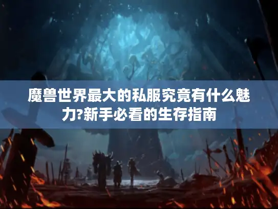 魔兽世界最大的私服究竟有什么魅力?新手必看的生存指南