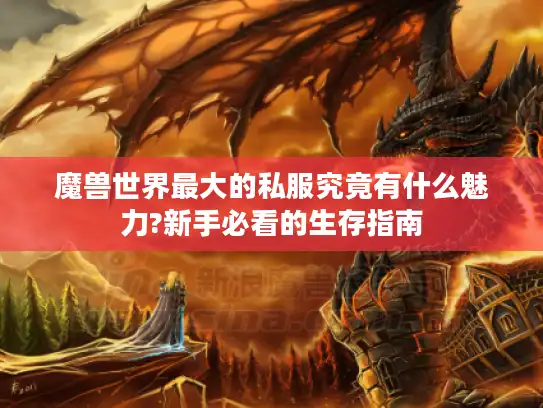 魔兽世界最大的私服究竟有什么魅力?新手必看的生存指南