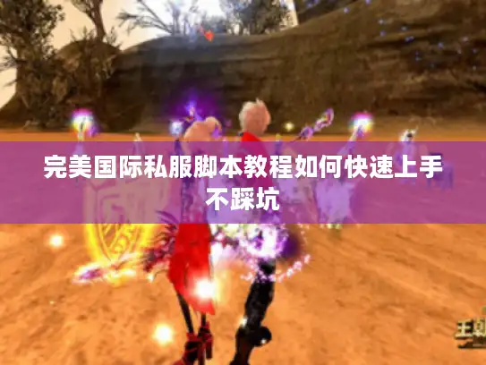 完美国际私服脚本教程如何快速上手不踩坑