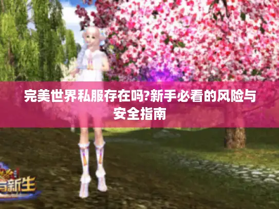 完美世界私服存在吗?新手必看的风险与安全指南