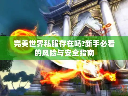 完美世界私服存在吗?新手必看的风险与安全指南