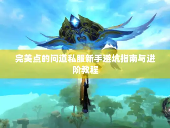 完美点的问道私服新手避坑指南与进阶教程