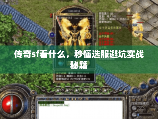 传奇sf看什么,秒懂选服避坑实战秘籍 传奇sf看什么,秒懂选服避坑实战秘籍