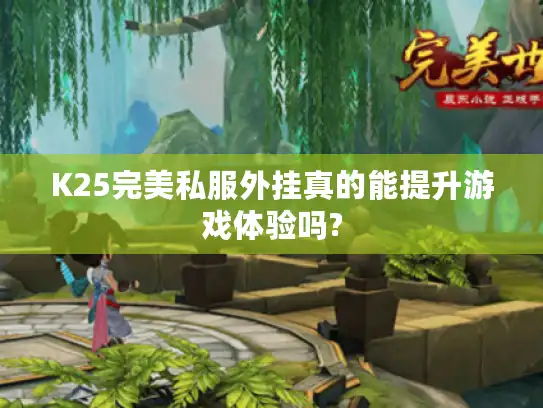 K25完美私服外挂真的能提升游戏体验吗?